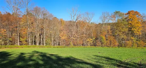 1100 Courtney Hill Road, Marathon, NY 13803