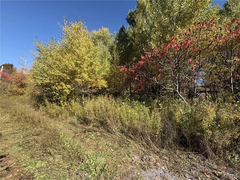 1521 Shoemaker Road, Mohawk, NY 13407 - #1