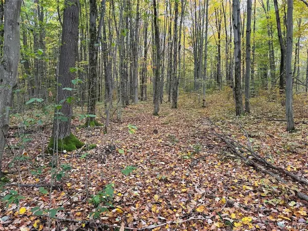 Sunset Hill Road, Machias, NY 14101