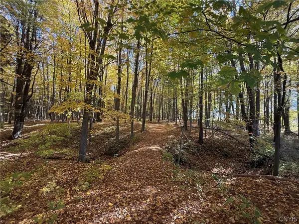 700 County Route 22a, Sandy Creek, NY 13145
