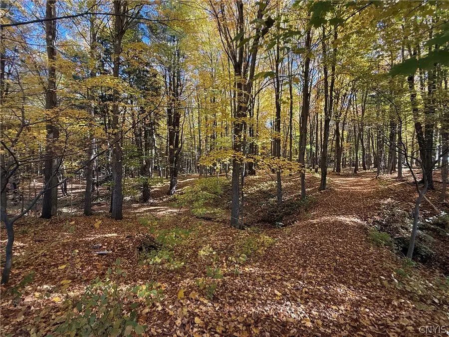 700 County Route 22a, Sandy Creek, NY 13145 - #2