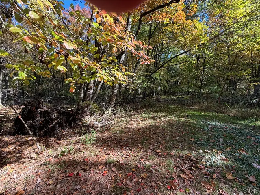 Lot 3 22nd Ave Avenue, Sylvan Beach, NY 13308 - #3