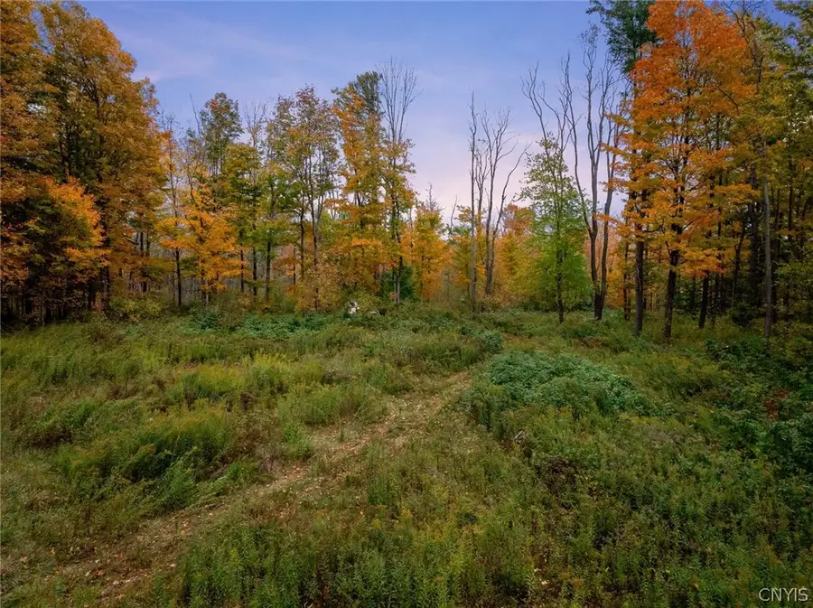 10872 State Route 12, Remsen, NY 13438 - #3