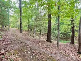 #3
