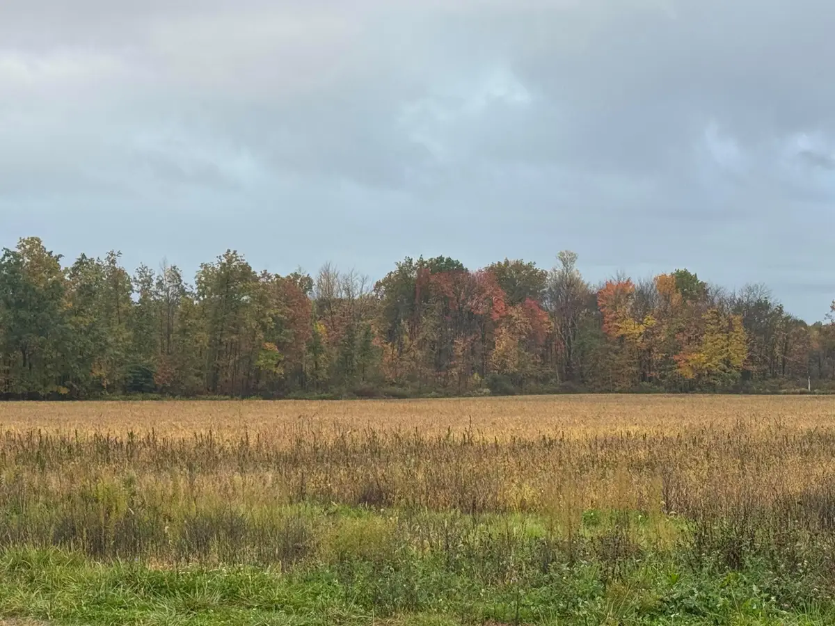 0 Lampson Road, Austinburg, OH 44010 - Image #1