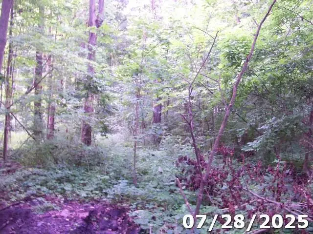 #3