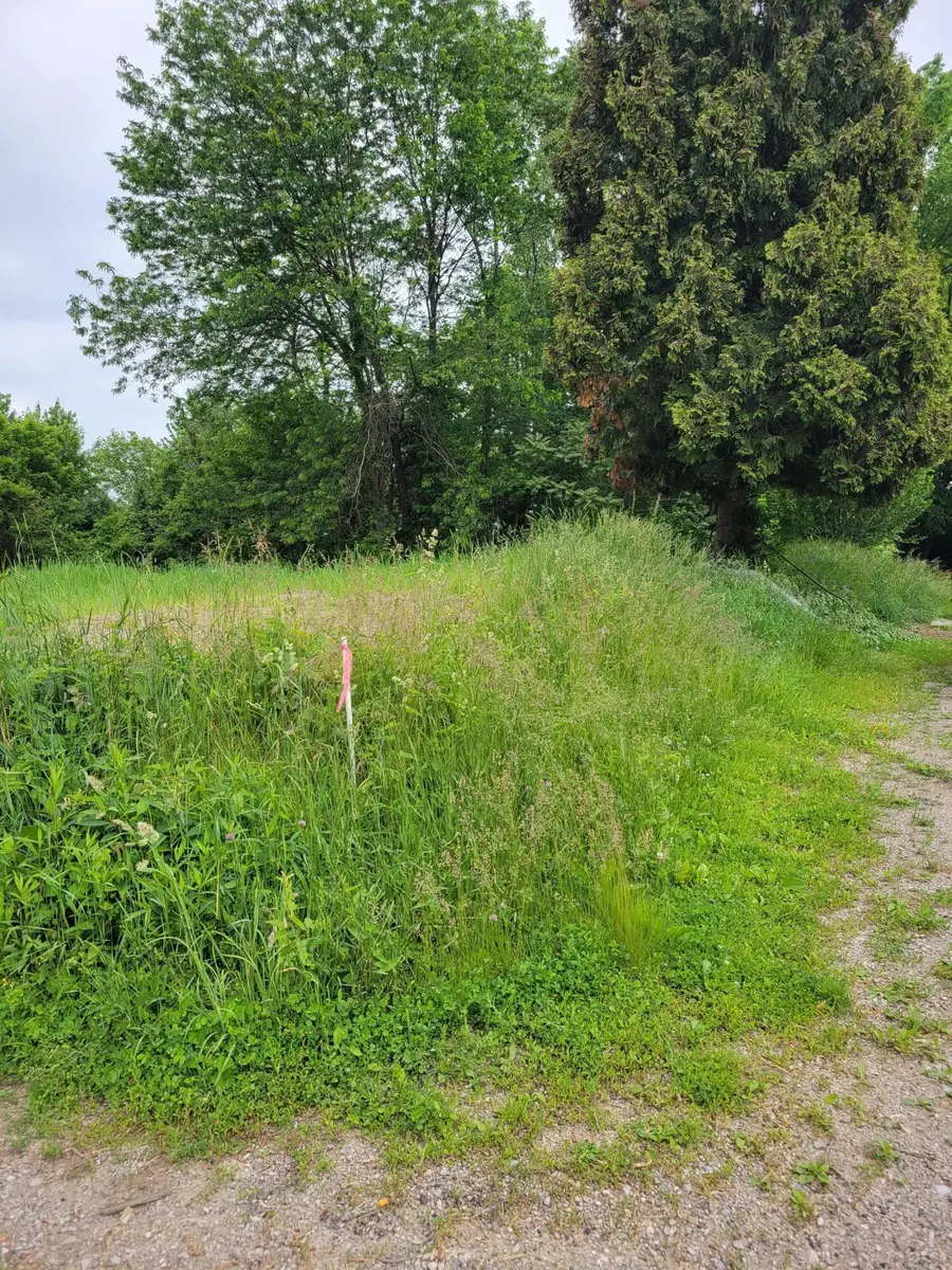 #3