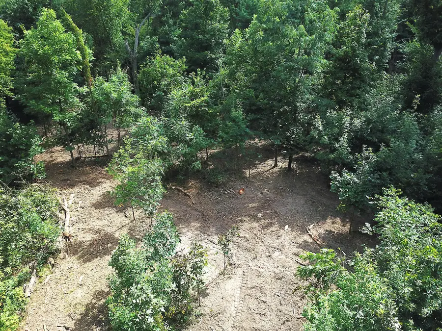 #3