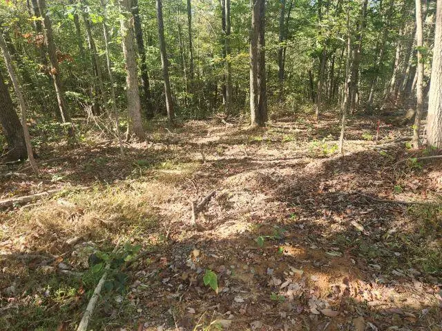 23047 Chestnut Grove Road, South Bloomingville, OH 43152 - Image #3