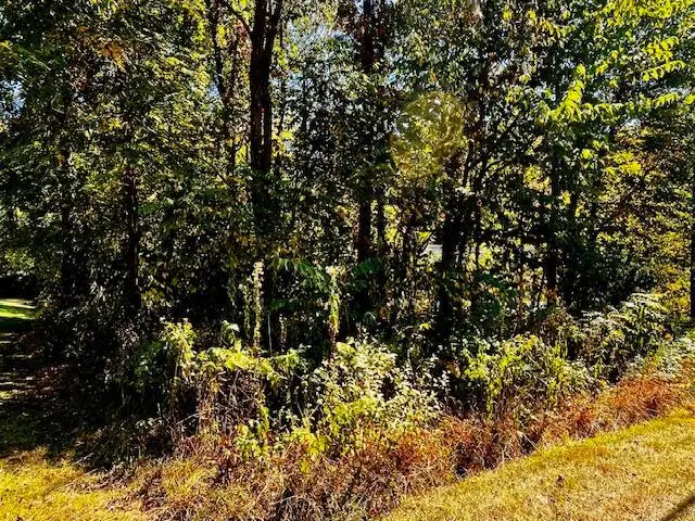 3142 Apple Valley Drive, Howard, OH 43028 - Image #2