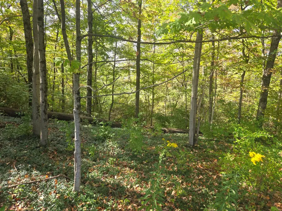 0 Beecher Crossing, Columbus, OH 43230 - Image #3