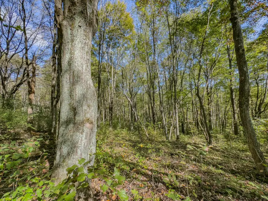 Parcel 3 Bethel Road, New Plymouth, OH 45654 - Image #3