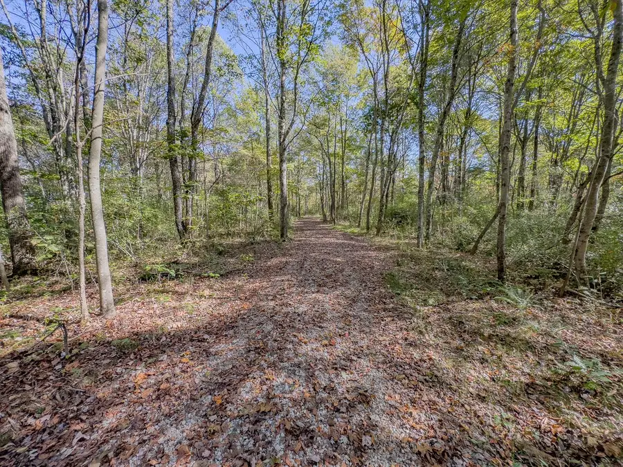 Parcel 3 Bethel Road, New Plymouth, OH 45654 - Image #3