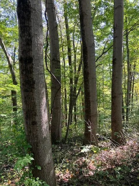 3228 Chillicothe Lancaster Road Sw, Lancaster, OH 43130 - Image #2