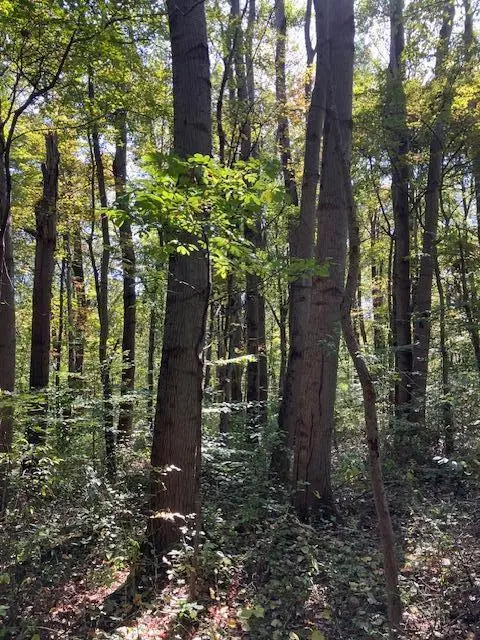 3228 Chillicothe Lancaster Road Sw, Lancaster, OH 43130 - Image #3