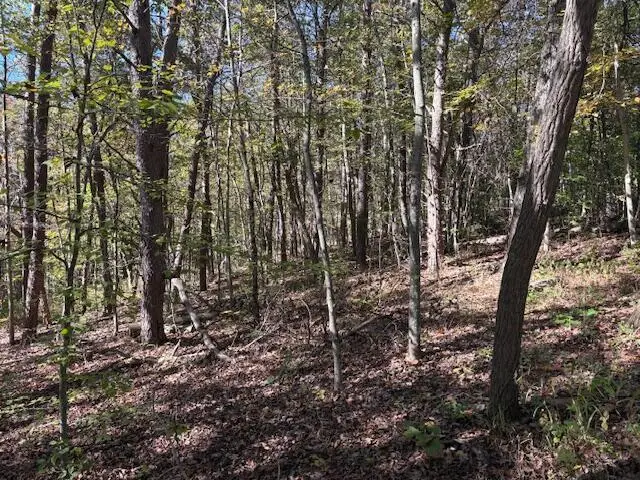 #3