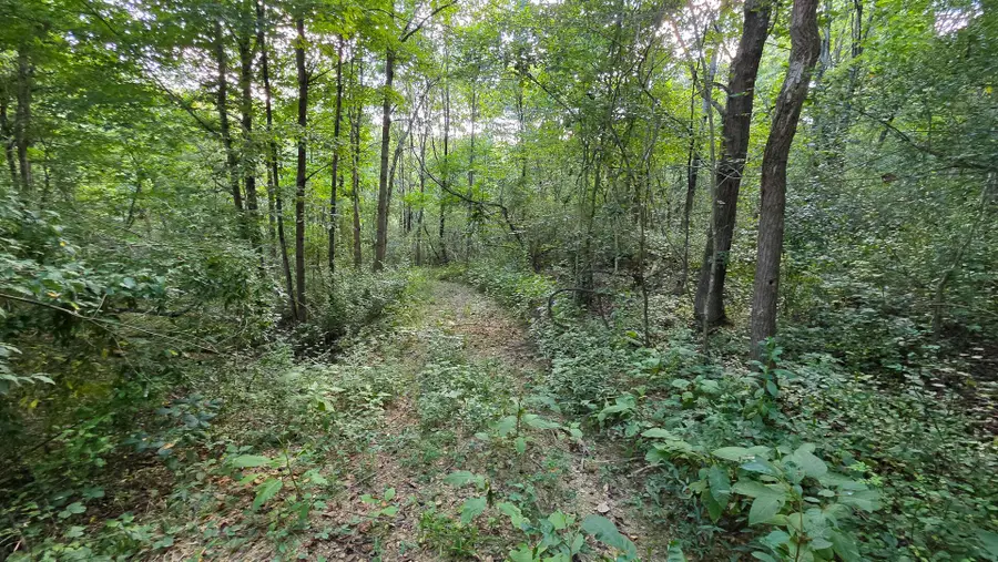 7783 Township Road 216 Se, Corning, OH 43730 - Image #3