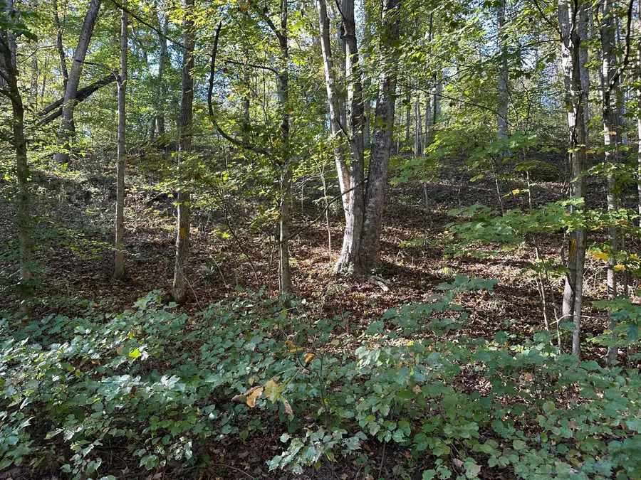 39454 Boston Road, Reedsville, OH 45772 - Image #2