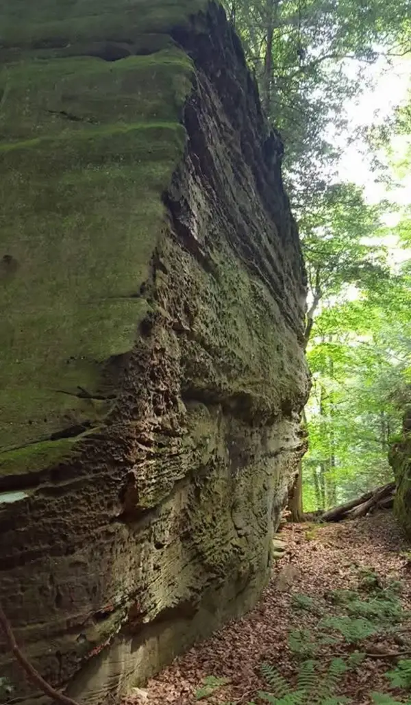 24138 Huffines Road, Rockbridge, OH 43149