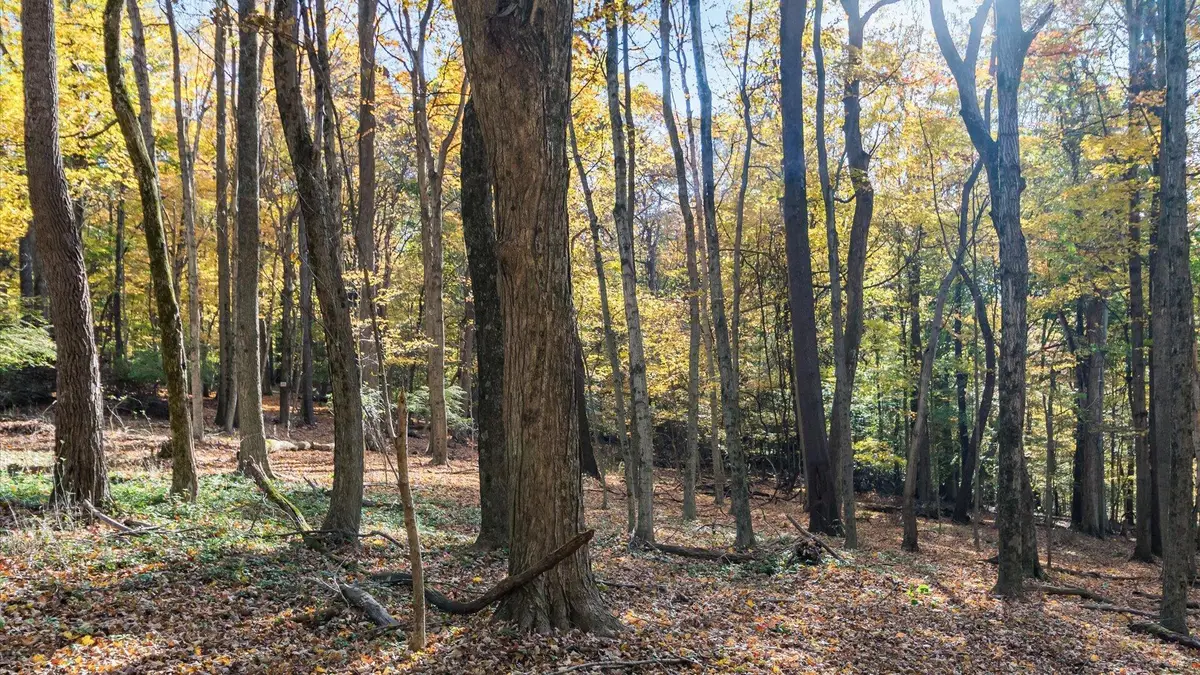 0 Dorrence Road, Granville, OH 43023 - Image #1