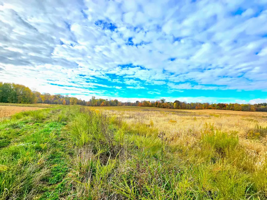 6054 Township Road 183, Cardington, OH 43315 - Image #2