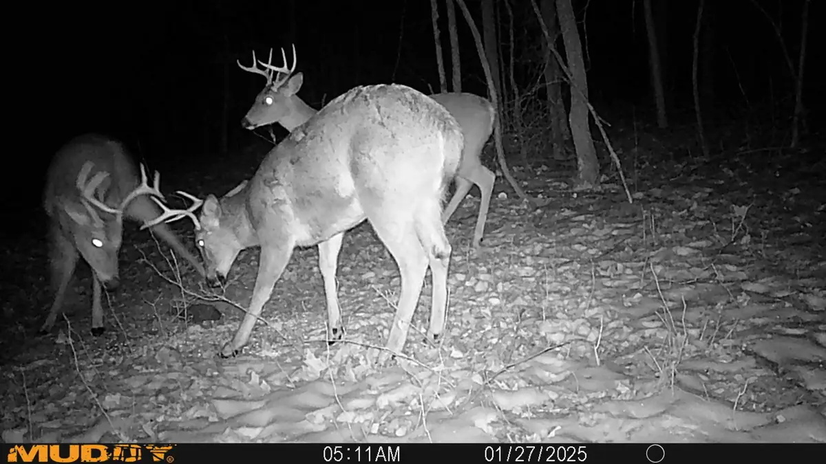 0 Shannon Road, Frazeysburg, OH 43822 - Image #1