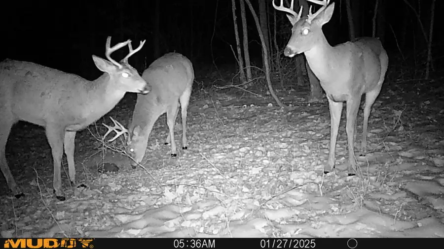 0 Shannon Road, Frazeysburg, OH 43822 - Image #2