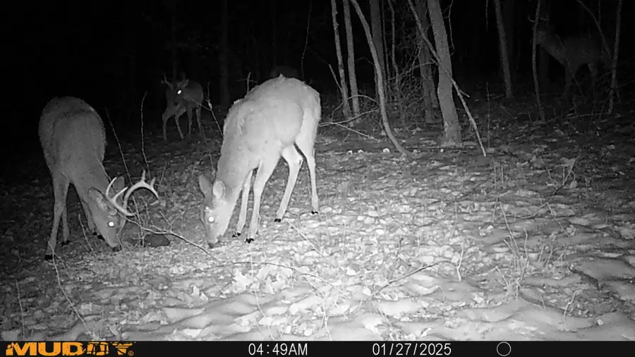 0 Shannon Road, Frazeysburg, OH 43822 - Image #3