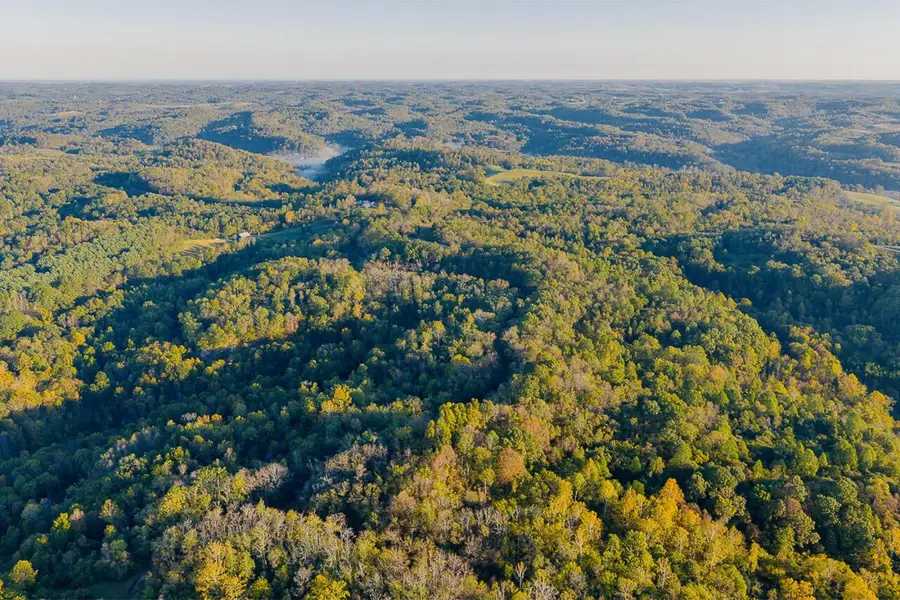 21995 Harrons Ridge Road, Dexter City, OH 45727 - Image #3