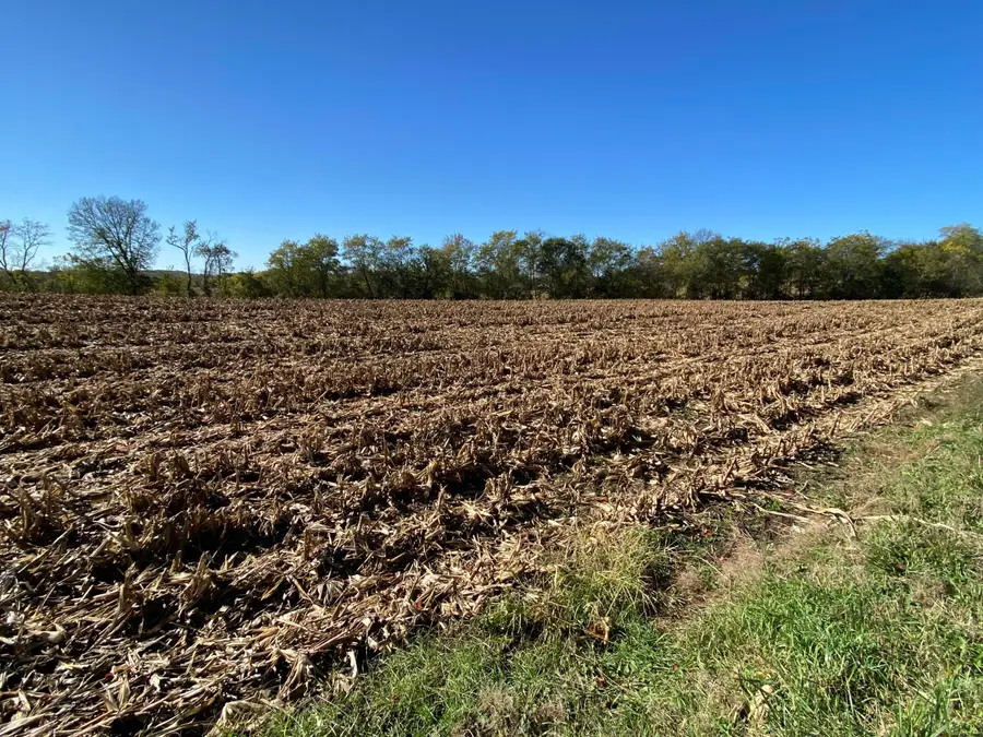 1862 Hallie Lane, Granville, OH 43023 - Image #2