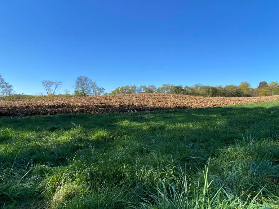 1862 Hallie Lane, Granville, OH 43023 - Image #3