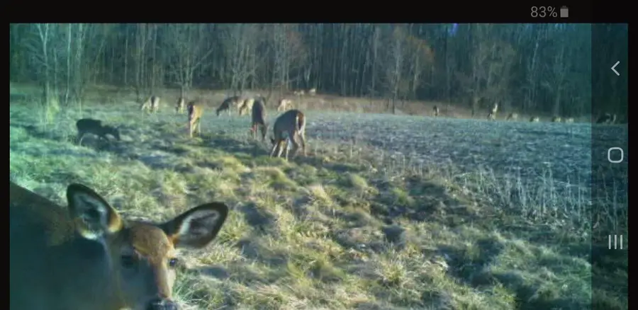 0 Paver Barnes Road, Marysville, OH 43040 - Image #3