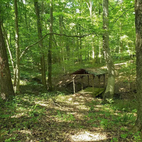 0 Mulberry Road, Mount Perry, OH 43760