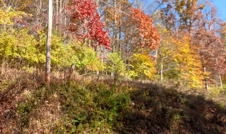 0 Lower Gambier Road, Mount Vernon, OH 43050 - Image #2