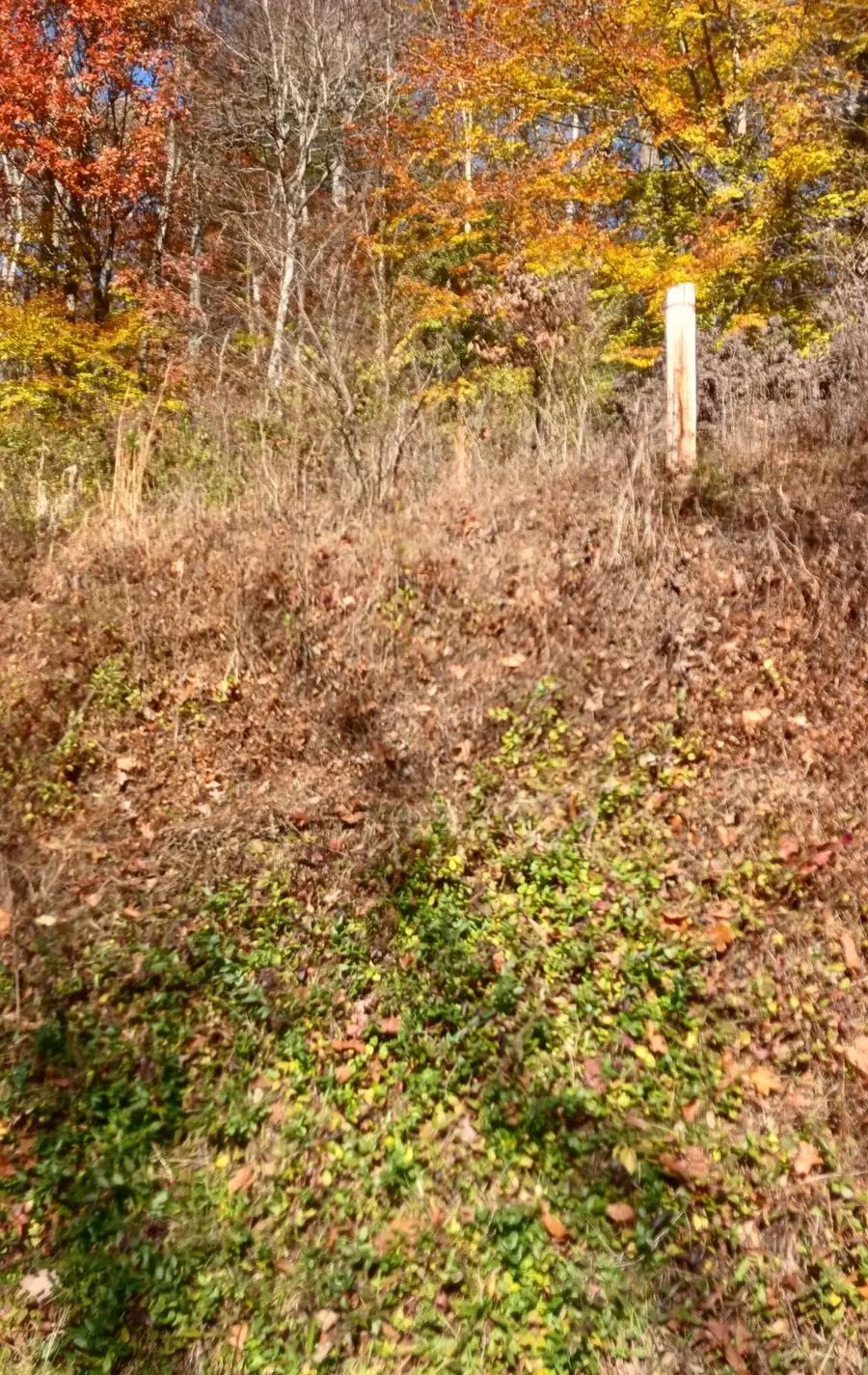 0 Lower Gambier Road, Mount Vernon, OH 43050 - Image #3