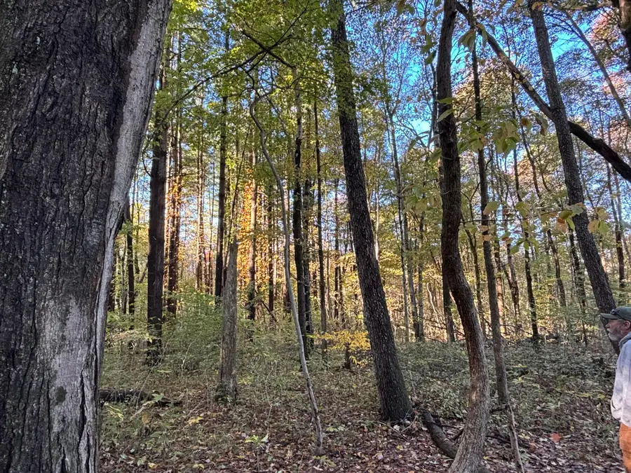 0 Township Rd 44, Somerset, OH 43783 - Image #3