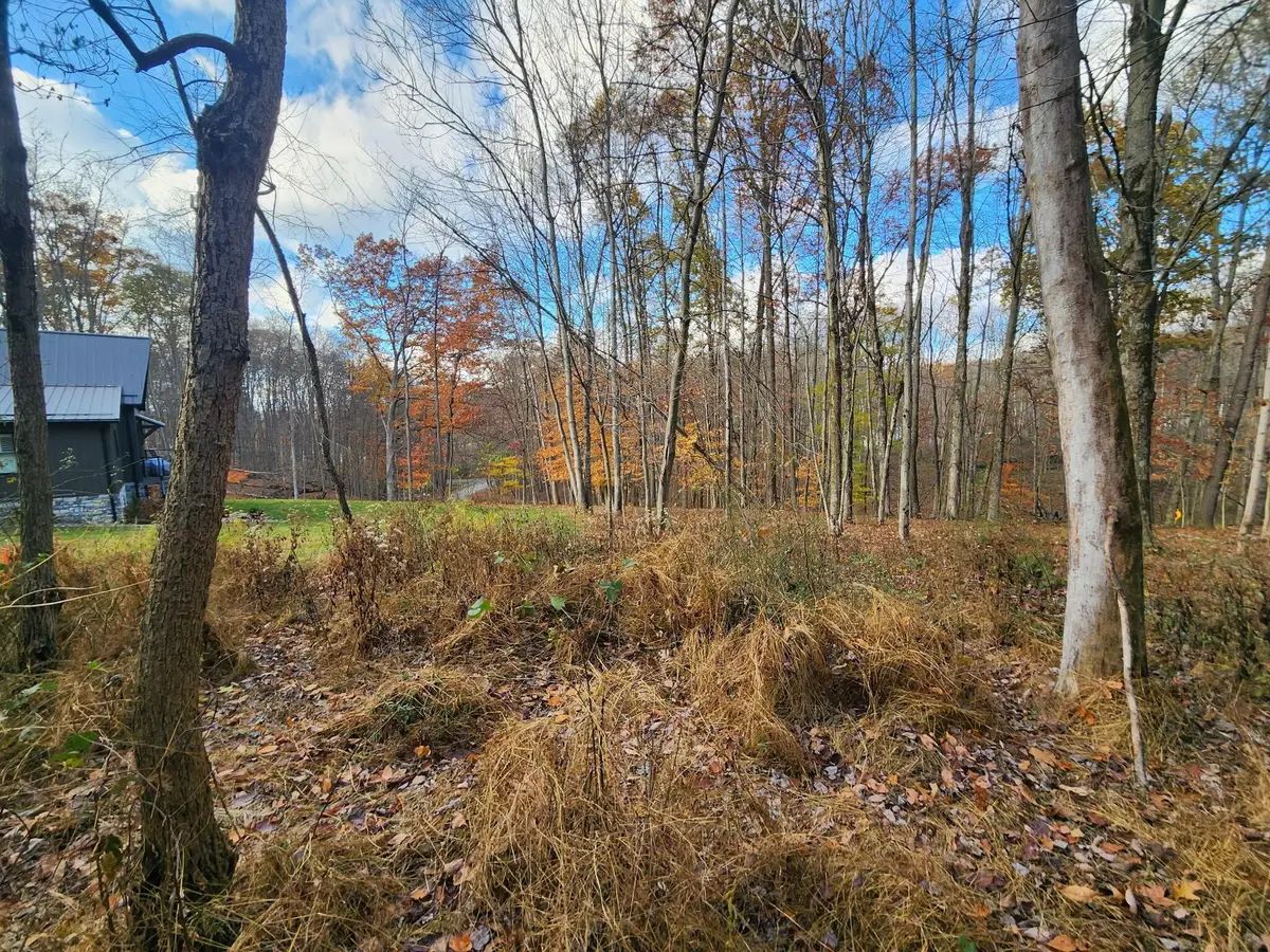 0 King Beach Drive, Howard, OH 43028 - Image #1