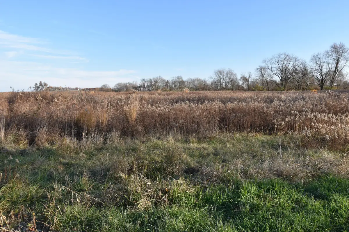 0 Rosewood Road Ne, Thornville, OH 43076 - Image #1