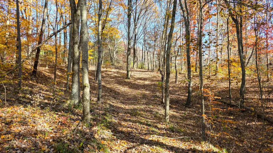 7447 Township Rd 215-a Se, Corning, OH 43730 - Image #2