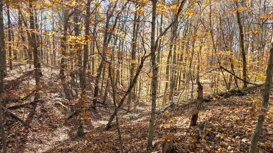 7447 Township Rd 215-a Se, Corning, OH 43730 - Image #3