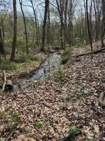 0 Walnut Dowler Road, Logan, OH 43138