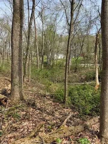 0 Walnut Dowler Road, Logan, OH 43138 - Image #3