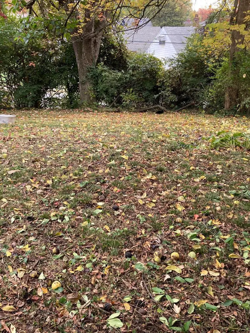 837 Sunbury Road, Columbus, OH 43219 - Image #3