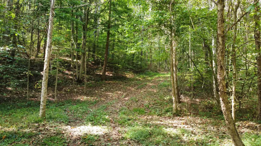 0 Beech Fork Road, Peebles, OH 45660 - Image #2