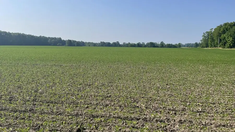 20478 Delaware County Line Road, Marysville, OH 43040 - Image #3