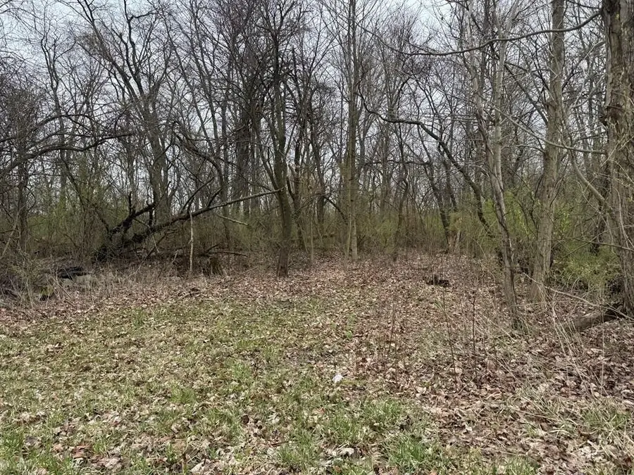 0 State Route 61, Mount Gilead, OH 43338 - Image #2