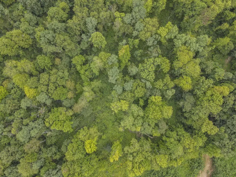 0 Sand Hollow Road Se, Thornville, OH 43076 - Image #3