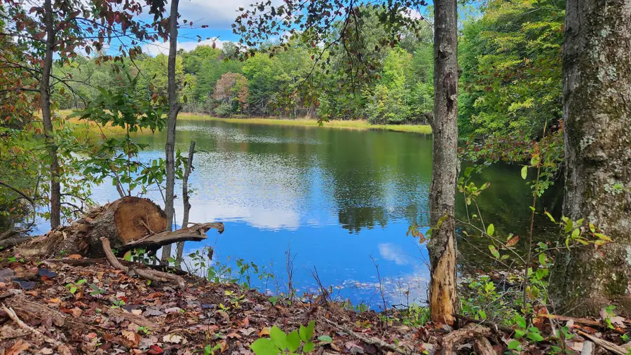 680 Nibert Road, Gallipolis, OH 45631 - Image #3