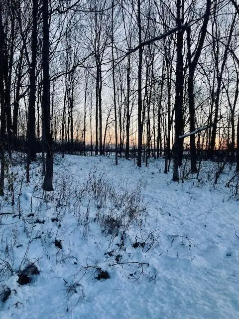 0 Township Road 14, Mount Gilead, OH 43338 - Image #3