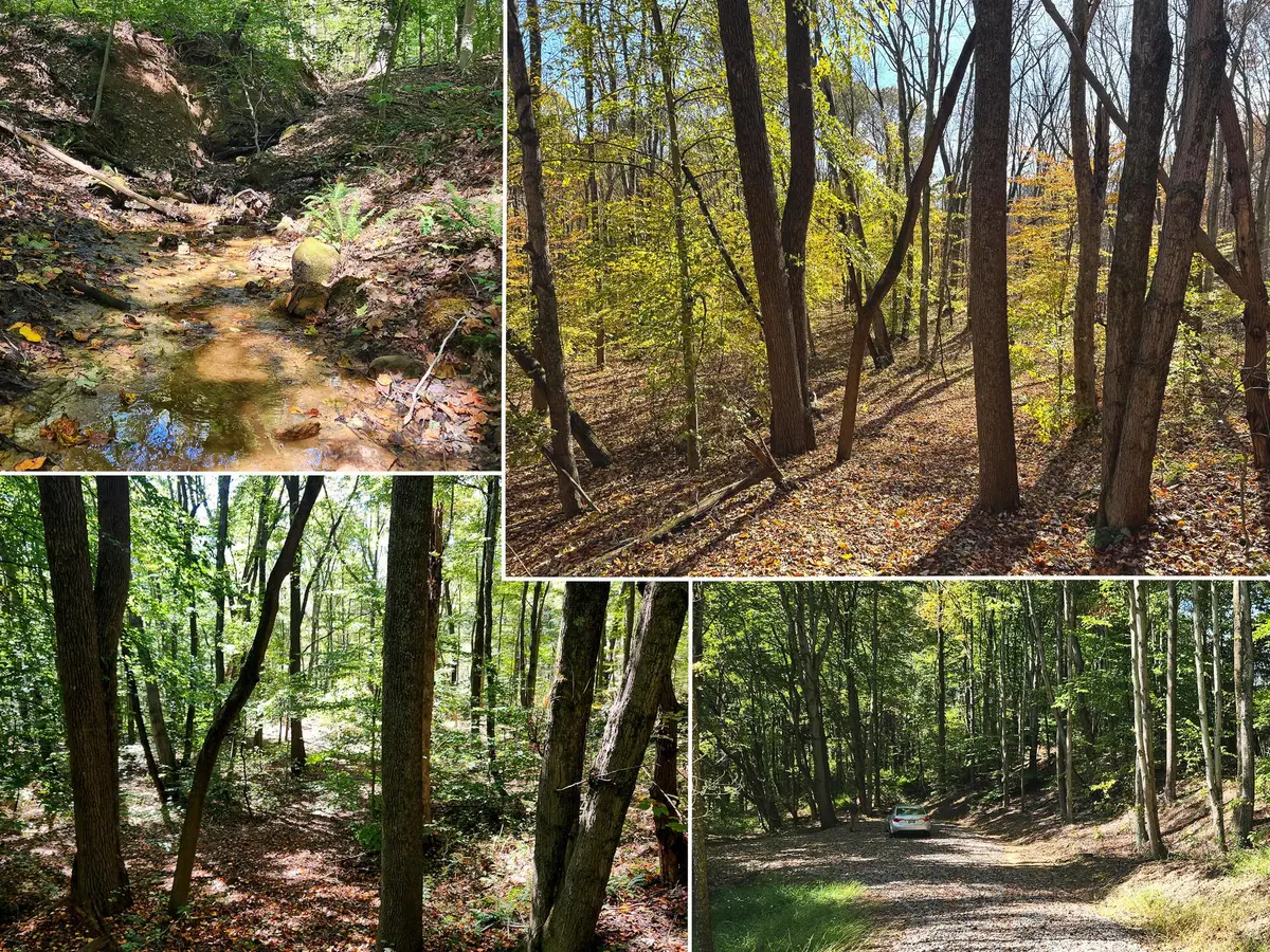 929 Poplar Ridge Road, Gallipolis, OH 45631 - Image #1